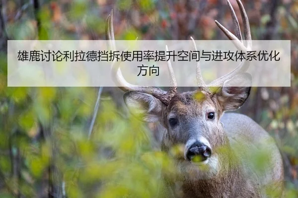 雄鹿讨论利拉德挡拆使用率提升空间与进攻体系优化方向