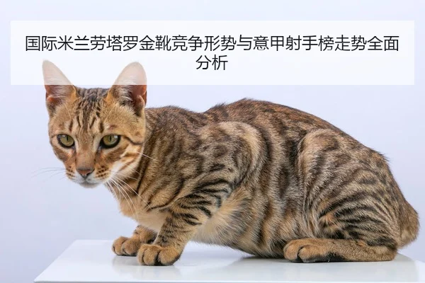 国际米兰劳塔罗金靴竞争形势与意甲射手榜走势全面分析